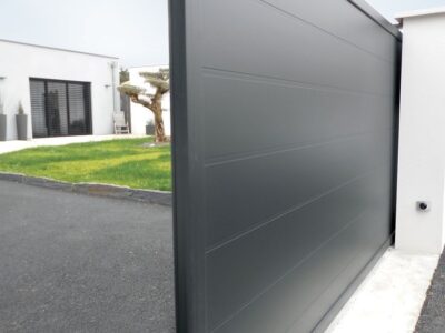 Garduri si Porti (13)