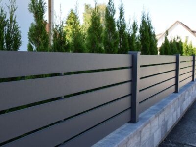 Garduri si Porti (16)