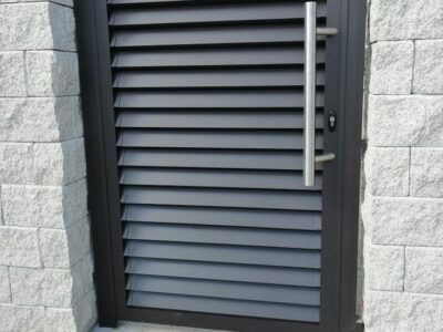 Garduri si Porti (4)