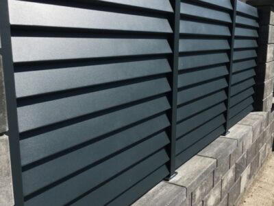 Garduri si Porti (7)